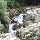 청수장 Daum카페
