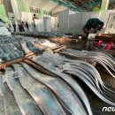 부산공동어시장 상점가 이미지