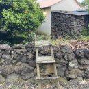 little tiny(리틀 타이니) 이미지