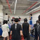 카운터복싱 반송점 이미지