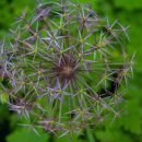 거니는집 이미지