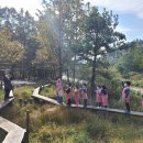 석곡초등학교 이미지