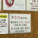 (주)청양에너지 | 12월 셋째주 - 지쳐버린 임산부, 불량연애가 재밌다면 더보이프렌드도 보세요
