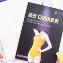 궁전스트레칭