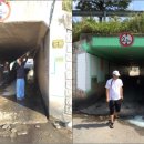 도일시장 이미지