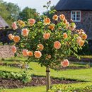 (주)공감 이미지