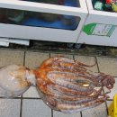 할머니횟집 이미지