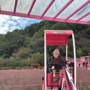 허브와풍뎅이 | daily(다산 현대아울렛에서 곤충보고 온날,10월달 아이랑 나들이 가기좋은 포천 허브아일랜드 방문후기. )