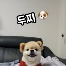 그루밍케이 이미지