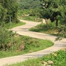 과수원길 이미지