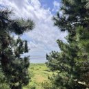 중소보건진료소 화장실 | 제주 비양도 한림항 배시간 운항 시간표 등대 편의점 카페 자전거 대여 등 정리