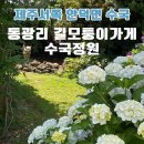 신화역사공원입구1 2 | 동광리 수국길 위치 길모퉁이 가게 알고보면 제주 서쪽 안덕면 시크릿 수국 명소