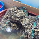 싱싱수산회직판장 | [아산 맛집] 아산 방어맛집 싱싱수산 회직판장 방문 후기