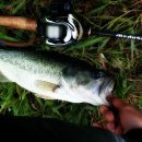 당거리화장실 이미지