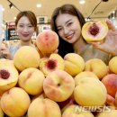 산지뚝심 이미지