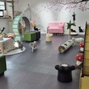 동물보육원 고양이 후원 카페 이미지