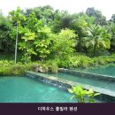 디하우스 풀빌라 펜션 네이버블로그