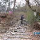 부여(홍산)-04 티스토리