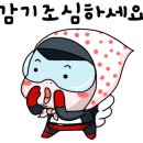 휠체어 타는 사람들 이미지