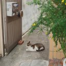 사파동268 | [용호동 카페] 가로수길 신상 카페 창원 '무음' Moo Eum