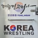 레슬링코리아 안산본관 팀안산 이미지