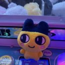 달인 뽑기를 만나다 이미지