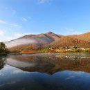 팔덕면사무소 이미지