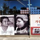 노랑닻