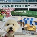 빵긋댕긋 | 케이펫페어 입점 부스 배치도 사은품 뽑기 이벤트 컨벤션센터 펫박람회 강아지 동반 후기 수원 세택 예정