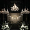 6081 | 더컨벤션 신사 계약 후기(26년 11월 식)