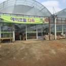 이동꽃마을 이미지