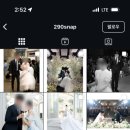 290 | 청주 가성비 본식 스냅 추천 &#34;290스냅&#34; 계약 후기 및 견적 (짝꿍 할인 가능+스벅 기프티콘)