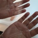 워시큐어 이미지