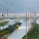 종갓집 꼬막회관 이미지