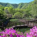 대아수목원 이미지