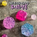 루시드살롱