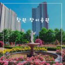 노란풍차유치원 | 창원 장미공원 장미꽃만개