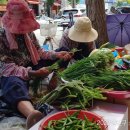 송정매일시장 이미지