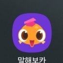 직장인 영어회화(야간) | 직장인 영어회화 말해보카 사용 후기(feat.말해보카 어휘마스터) 영어어플