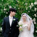 이든홀 | 보타닉파크 카라홀 본식스냅후기