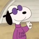 가람부동산중개 이미지