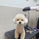 베리굿동물병원 이미지