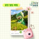 초록문화실 네이버블로그