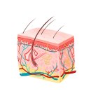 강남아이앤유성형외과의원 이미지