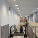 트레이더스홀세일클럽인천송림점 이미지