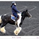 경마공원 이미지