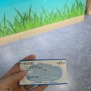 해병농장 | [농장견학] 양평곤충박물관 및 굼프로 곤충체험장을 다녀오다 !! (양평곤충박물관/ 양평 곤충체험장...