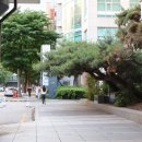 대신성모정형외과의원 이미지