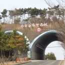 문덕교옆 Daum카페