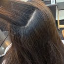 뮤트헤어 - 중구 하늘중앙로 193 | 일산 주엽 미용실 뮤트헤어 솔직후기 | 두피클리닉·클리닉·뿌리염색 | 밀본·시세이도